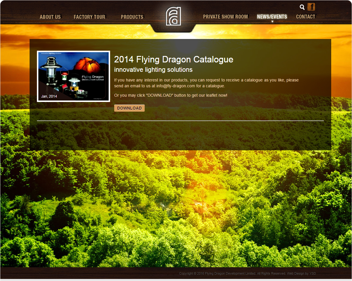 Flying Dragon Development Limited